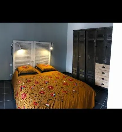 Aparthotel Le Cosy Roannais 3*